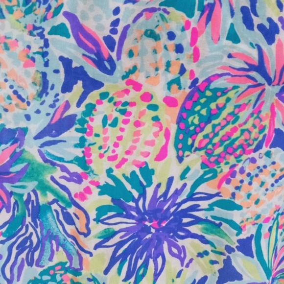 🆕 🌊RARE Lilly Pulitzer🌊 - Alanna Dress - Picture 4 of 15